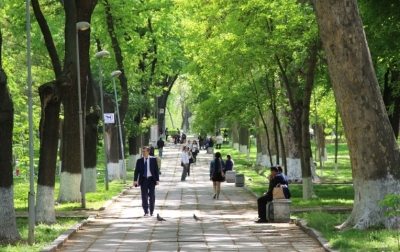 Зелёный скандал в Ташкенте: Давление на экологов
