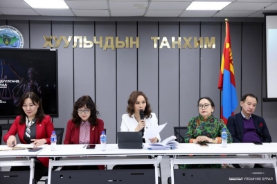 «Нельзя сразу сажать насильников в тюрьму»: закон о семье обсудили в Монголии